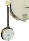 banjos for sale